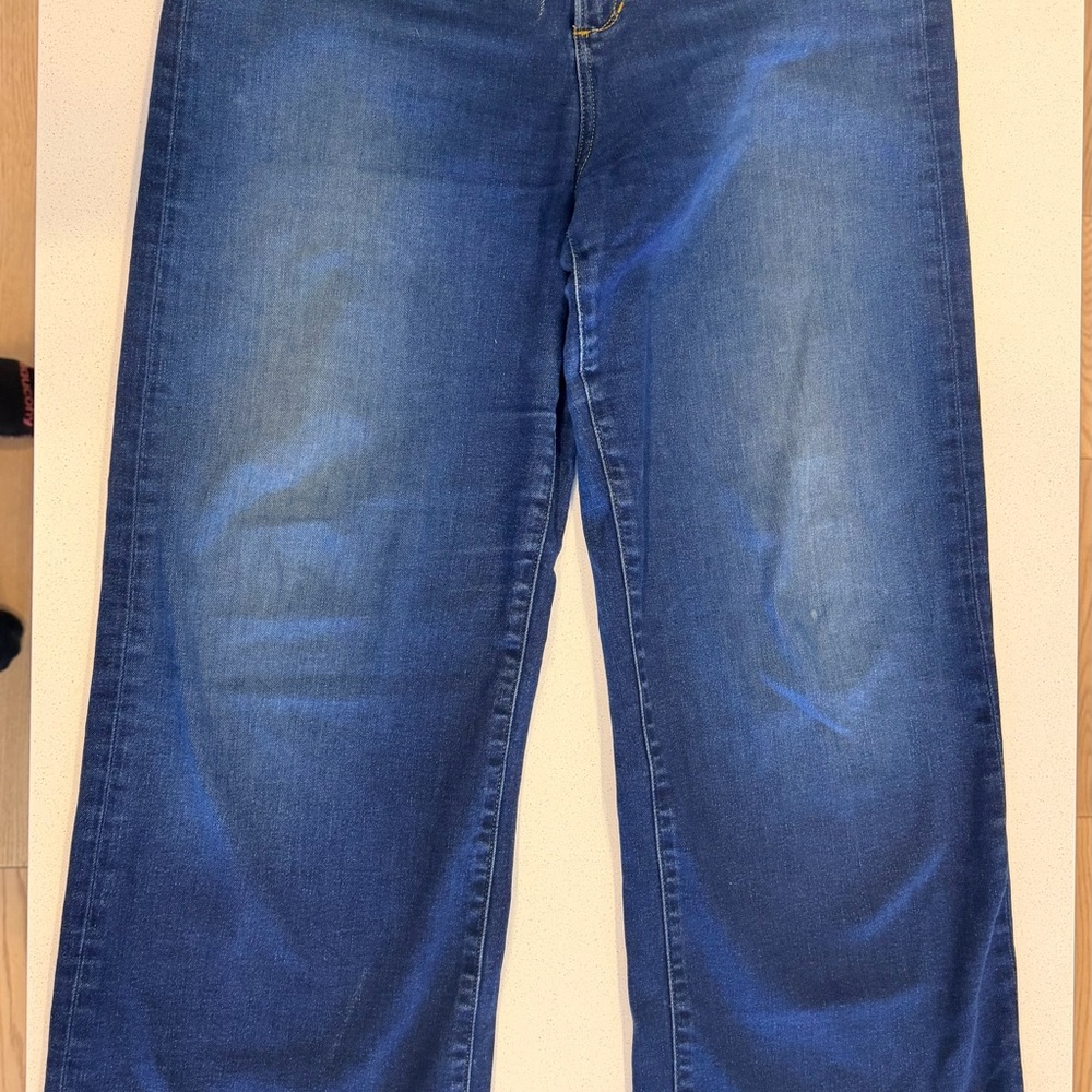 Joe's Jeans Mia High Rise Wide Leg Exhale Size 32